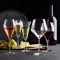 schott-zwiesel-pure-pinot-noir-glasses-set-of-6-c