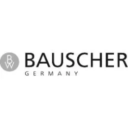 DV004-logo_bauscher_270