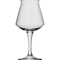 Kieliszek do piwa Gastro Teku 425 ml