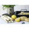 Gastronádoba AMT Gastroguss GN 1/1 53x33 cm, v=55 mm
