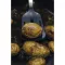 Pojemnik Gastro AMT Gastroguss GN 1/2 33x27 cm, w=55 mm, przystosowany do indukcji
