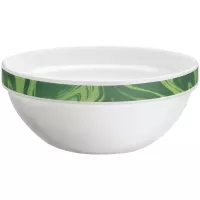 Miska Bormioli Rocco Careware 1,06 l, zelená