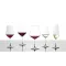 Kieliszek do szampana z piankową końcówką Schott Zwiesel Taste 283 ml