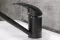 Bateria zlewozmywakowa Aquasanita Eco 2561 black metallic