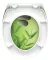 WC sedátko Schütte GREEN GARDEN | Duroplast, Soft Close