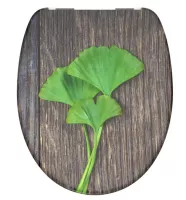 Deska sedesowa GINGKO und WOOD | Duroplast, Soft Close