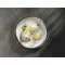 CHURCHILL Stonecast Barley White Forma do zapiekania na lasagne, długość: 160 mm