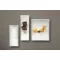 Mělký talíř Bauscher Emotion délka 24,3 cm