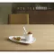 BAUSCHER Enjoy filiżanka do kawy, pojemność: 0,18 litra, wysokość: 66 mm, ø: 78 mm
