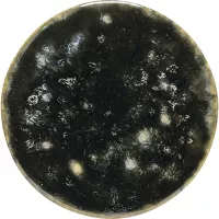 COSTA NOVA Roda talerz płaski, wysokość: 21 mm, średnica: 95 mm, Iris