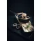 AMT GASTROGUSS Sauté, odpowiedni do indukcji, wysokość: 60 mm, ø: 240 mm