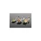 APS Classic Łyżka gourmet, wygląd miedzi, wysokość: 40 mm, długość: 120 mm