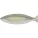 COSTA NOVA Dori Talerz na rybę, perłowy, długość: 433 mm, szerokość: 120 mm