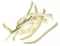 Tarcza do krojenia w paski 2x8 mm (J 2x8 J 5/64"x5/16")