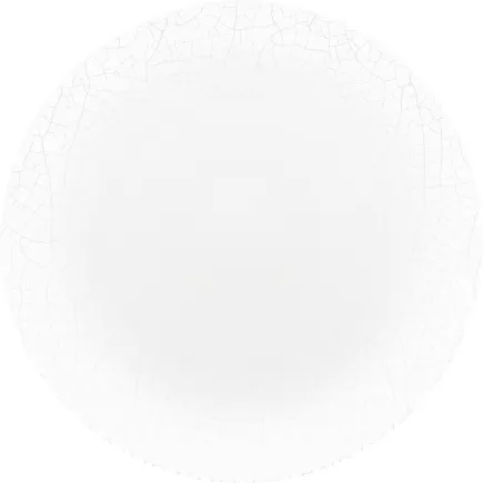 BAUSCHER Smart Talerz płytki , wysokość: 17 mm, średnica: 202 mm, dekor Crust