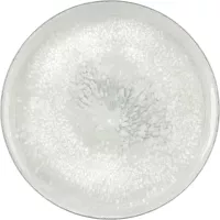 Mělký talíř Bauscher Smart průměr 26,1 cm, dekor Salt